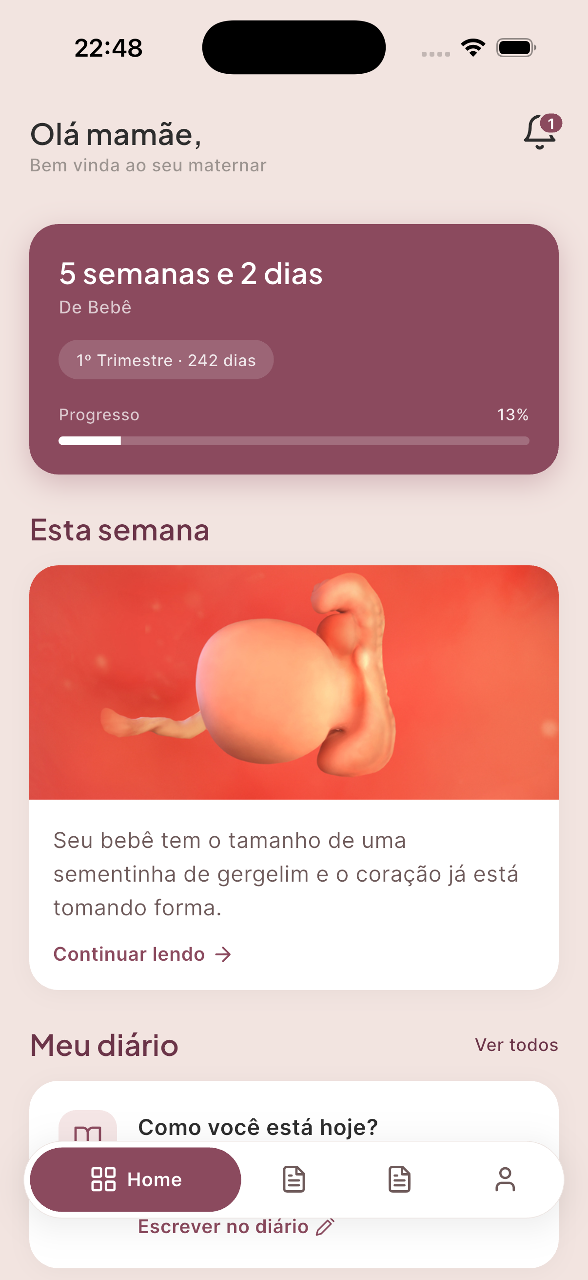 Tela inicial do 9moon com semana gestacional e progresso