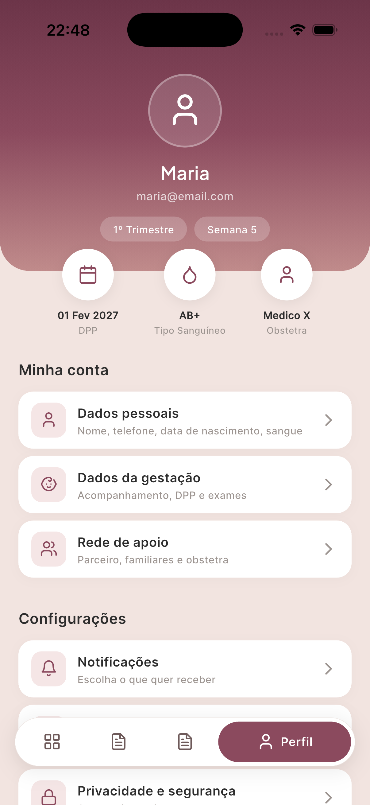 Perfil da gestante com dados pessoais e rede de apoio